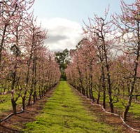 Raeburn Orchards - Accommodation Tasmania