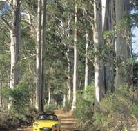 Mount Shadforth Scenic Drive - Accommodation Tasmania
