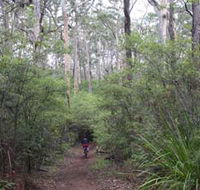 Margaret River Rails Trail - Accommodation Tasmania