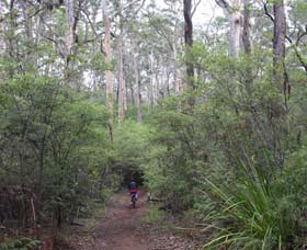 Margaret River Rails Trail - Accommodation Tasmania 0