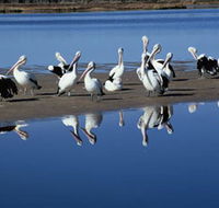 Peel Region Canoe Trails - Accommodation Tasmania