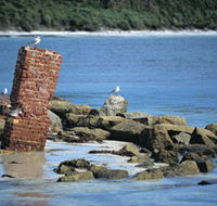 Whalers Beach - Accommodation Tasmania
