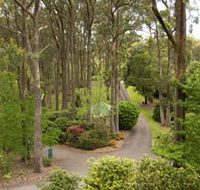 Mount Lofty Botanic Garden - Accommodation Tasmania