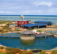 Ocean Park Aquarium - Accommodation Tasmania