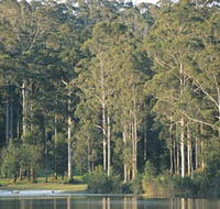 Big Brook Dam - Accommodation Tasmania