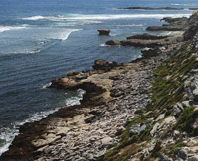 Cape Vlamingh - Accommodation Tasmania 0