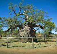 Pigeon Heritage Trail - Accommodation Tasmania