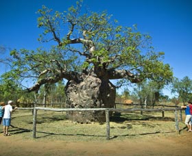 Pigeon Heritage Trail - Accommodation Tasmania 0