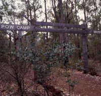 Marrinup Trail Dwellingup - Accommodation Tasmania