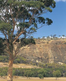 Mount Stirling - Accommodation Tasmania 0