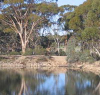 Merredin Railway Dam - Accommodation Tasmania