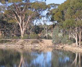Merredin Railway Dam - Accommodation Tasmania 0