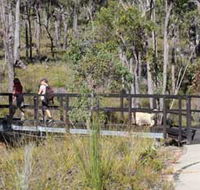 Forest Path Crooked Brook - Accommodation Tasmania