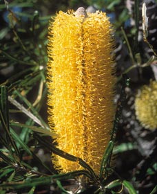  Accommodation Tasmania