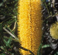 Moore River National Park - Accommodation Tasmania