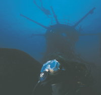 Swan Dive Wreck - Accommodation Tasmania