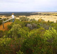 Archer Drive Scenic Drive and Lookout - Accommodation Tasmania