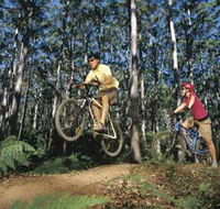 Leeuwin-Naturaliste National Park - Cowaramup - Accommodation Tasmania
