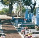Fremantle Cemetery - Accommodation Tasmania