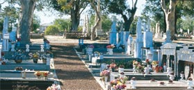 Fremantle Cemetery - Accommodation Tasmania 0