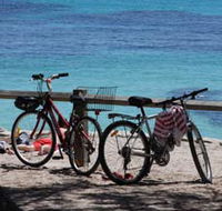 Parker Point Marine Snorkel Trail - Accommodation Tasmania