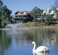 White Swans - Accommodation Tasmania