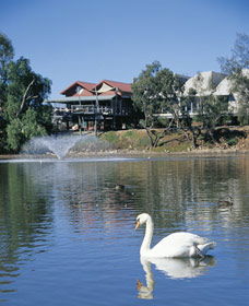White Swans - Accommodation Tasmania 0