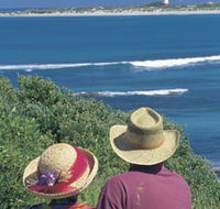 Separation Point Lookout - Accommodation Tasmania