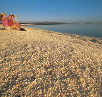Shell Beach - Accommodation Tasmania