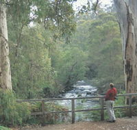 Cascades - Accommodation Tasmania