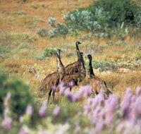 Jurabi Coastal Reserve - Accommodation Tasmania