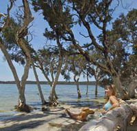 Stokes National Park - Accommodation Tasmania