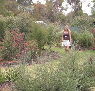 The Mythic Mazes - Accommodation Tasmania