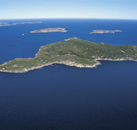 Woody Island Nature Reserve - Accommodation Tasmania