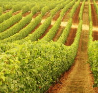Xanadu Wines - Accommodation Tasmania