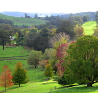 Golden Valley Tree Park - Accommodation Tasmania