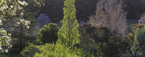 Golden Valley Tree Park - Accommodation Tasmania 3