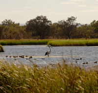 Anytime Adventures in Mandurah  the Peel Region - Accommodation Tasmania