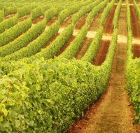 Happs Wines - Accommodation Tasmania