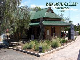 Rain Moth Gallery - Accommodation Tasmania 0