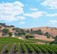 Bethany Wines - Accommodation Tasmania