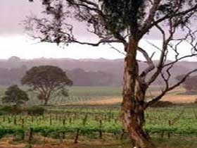 Accommodation Tasmania