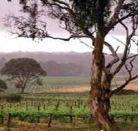 Yangarra Estate Vineyard - Accommodation Tasmania