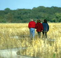Onkaparinga River Recreation Park - Accommodation Tasmania
