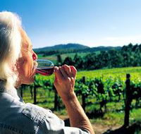 Ashton Hills Vineyard - Accommodation Tasmania