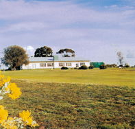 Lucindale Country Club - Accommodation Tasmania