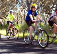 Penola Cycling Trails - Accommodation Tasmania