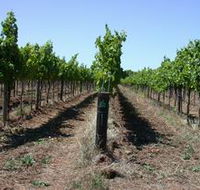Temple Bruer Winery - Accommodation Tasmania