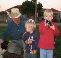 Orrie Cowie Merino and Poll Merino Stud - Accommodation Tasmania