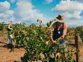 Torbreck Vintners - Accommodation Tasmania 0
